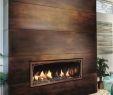Mendota Fireplace Inserts Elegant Linear Gas Fireplace Prices
