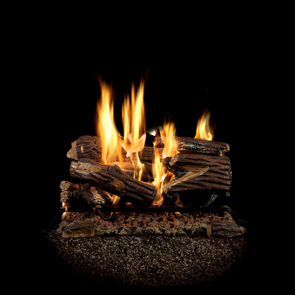 Mendota Gas Fireplace Insert Reviews Fresh Gas Fireplaces Fireplaces the Home Depot