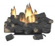 Mendota Gas Fireplace Insert Reviews New Gas Fireplaces Fireplaces the Home Depot
