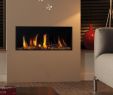 Mobile Home Fireplace Inspirational Gaskamin Dru Metro 80xt Rch