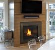 Modern Gas Fireplace Insert Lovely Heat & Glo for Professionals