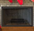 Modern Glass Fireplace Screen Best Of Fireplace Glass Doors Project
