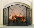 Modern Glass Fireplace Screen Inspirational 11 Best Fancy Fireplace Screens Design and Decor Ideas