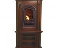 Monessen Fireplace Parts Awesome Amazon Hearthsense Liquid Propane Vent Free Gas tower