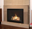 Montigo Fireplace Parts Elegant Inseason Fireplaces • Stoves • Grills • Rochester Ny
