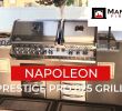 Napoleon Direct Vent Gas Fireplace Beautiful Maple Mtn Fireplace