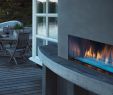 Napoleon Direct Vent Gas Fireplace Elegant Majestic Palazzo Linear Outdoor Gas Fireplace Single Sided See Through
