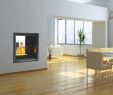 Napoleon Direct Vent Gas Fireplace Elegant Napoleon Hd81ntsb High Definition See Thru Direct Vent Gas
