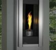 Napoleon Direct Vent Gas Fireplace Elegant Products Archive Page 2 Of 13 the Fireplace Professionals