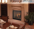 Napoleon Direct Vent Gas Fireplace Lovely Custom Series Direct Vent Fireplaces Our Name is Our Promise