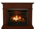 Napoleon Direct Vent Gas Fireplace Lovely Fireplace Results Home & Outdoor