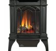 Napoleon Fireplace Parts Inspirational Propane Fireplace Insert Repair