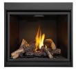 Napoleon Fireplace Remote Inspirational Napoleon Hdx40 Direct Vent Clean Face High Def Fireplace