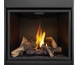 Napoleon Fireplace Remote Inspirational Napoleon Hdx40 Direct Vent Clean Face High Def Fireplace