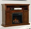 Napoleon Fireplace Reviews Inspirational 62 Electric Fireplace Charming Fireplace