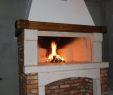 Napoleon Wood Fireplace Fresh Wood Burning Fireplaces Karlovac