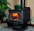 Napoleon Wood Fireplace Luxury Wood Burning Fireplaces Mobile Homes Charming Fireplace