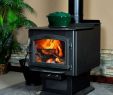 Napoleon Wood Fireplace Luxury Wood Burning Fireplaces Mobile Homes Charming Fireplace