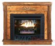 Natural Gas Ventless Fireplace Insert Luxury Buck Stove Model 34zc Zero Clearance Vent Free Gas Fireplace