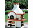 Outdoor Cooking Fireplace New Palazzetti forno Medium Barbecue Outdoor Cooking Pizza Oven