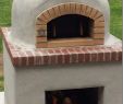 Outdoor Fireplace and Pizza Oven New Outdoor Pizza Oven Wood Fired Insulated W Brick Arch & Chimney