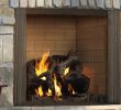 Outdoor Wood Fireplace Insert Inspirational Castlewood Wood Fireplace
