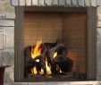 Outdoor Wood Fireplace Insert Inspirational Castlewood Wood Fireplace