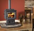 Pacific Energy Fireplace Fresh Pinterest