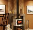 Pacific Energy Fireplace Insert Awesome Pacific Energy Fusion Woodstove In Stainless Steel Finish