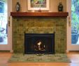 Pictures Of Tiled Fireplaces Best Of Tiles Birds & Bees Fireplace