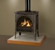 Pier One Fireplace Screen Lovely Lisac S Fireplaces and Stoves Portland oregon