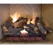 Pleasant Hearth Gas Fireplace Awesome 24 In Split Oak Vented Gas Log Set Dual Burner Realistic