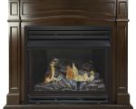17 Inspirational Pleasant Hearth Gas Fireplace