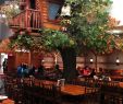 Poconos Hotels with Jacuzzi and Fireplace Luxury A Holiday Visit to Great Wolf Lodge
