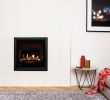 Portable Gas Fireplace Indoor New Rinnai Ember Series