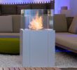 Portable Tabletop Fireplace Unique Bioethanol Open Vent Free Fireplace Twin