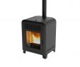 Portable Wood Fireplace Lovely Cute Wood Pellet Stove by Mcz