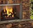 Premade Outdoor Fireplace Inspirational Wood Burning Outdoor Fireplace Charming Fireplace