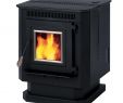 Procom Gas Fireplace Best Of Pellet Stove Insert Lowes