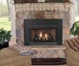 Procom Gas Fireplace Fresh Fireplace Inserts Installation