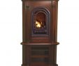 Procom Gas Fireplace Inspirational Amazon Hearthsense Liquid Propane Vent Free Gas tower