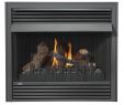 Procom Gas Fireplace New Napoleon Gvf36n Vent Free Fireplace