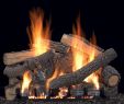 Propane Fireplace Logs Ventless Luxury Pin On House