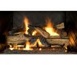 Propane Fireplace Logs Ventless Luxury Ventless Gas Fireplace Logs Gas Logs the Home Depot