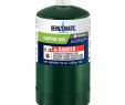 Propane Tank for Gas Fireplace Elegant Bernzomatic 1 Lb Single Propane Cylinder