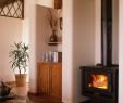 Pros and Cons Of Ventless Gas Fireplaces Beautiful Guide to Buying A Pellet Stove