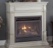 Pros and Cons Of Ventless Gas Fireplaces Lovely Gas Fireboxes for Fireplaces Charming Fireplace