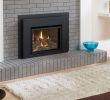 Regency Fireplace Insert Fresh Liberty Collection Fireplace by Regency Available Through