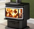 Regency Fireplace Parts New Mobile Home Wood Burning Fireplace Charming Fireplace