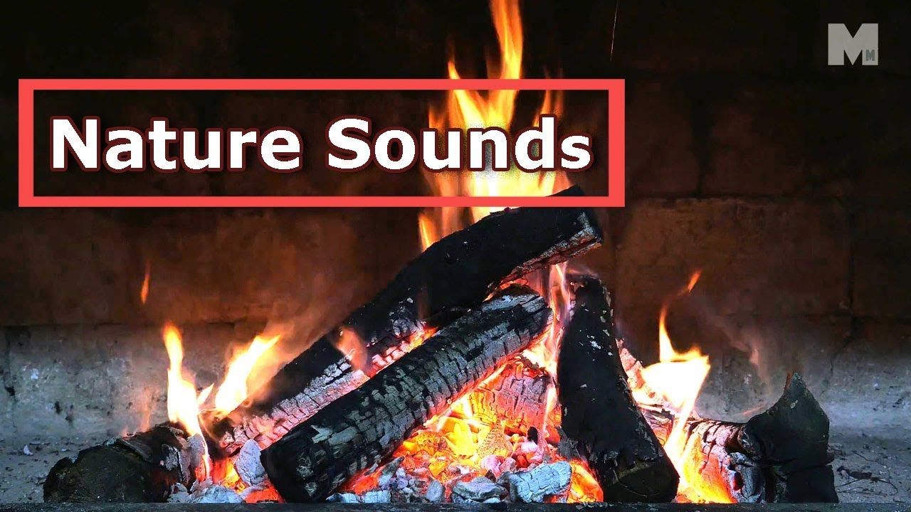 Relaxing Fireplace Luxury A Fireplace Video with Relaxing Natural Crackling Fire